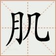 肌(漢語文字) 肌(漢語文字)