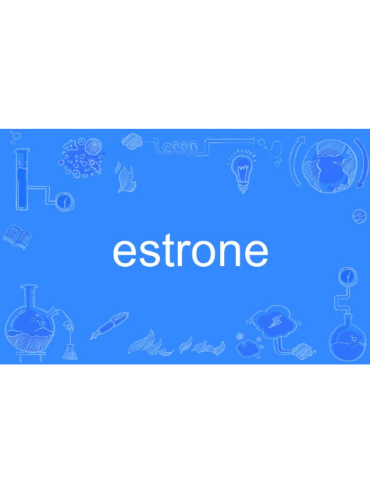 estrone estrone