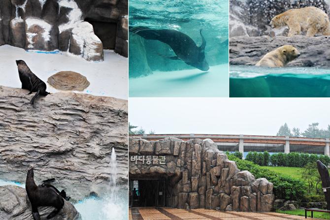 海洋動物館