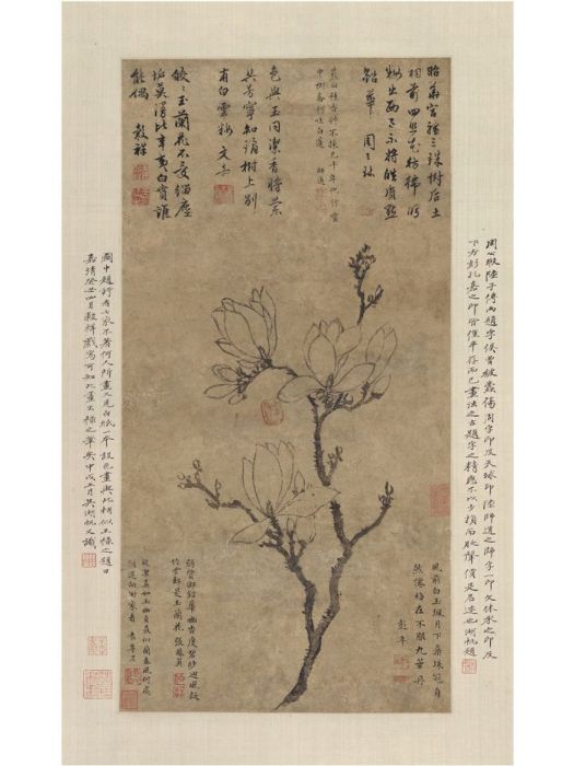 玉蘭圖(明代王轂祥創作的紙本水墨畫) 玉蘭圖(明代王轂祥創作的紙本水墨畫)