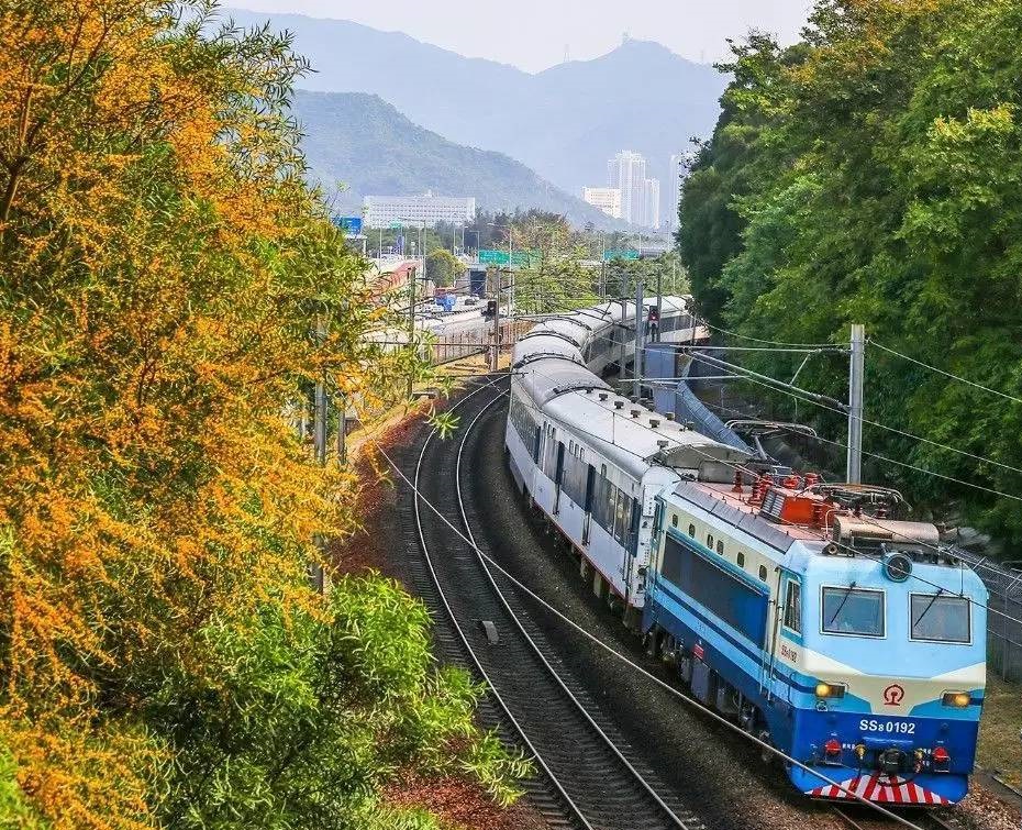 廣九鐵路韶山8型準高速電力機車牽引廣九直達特快列車