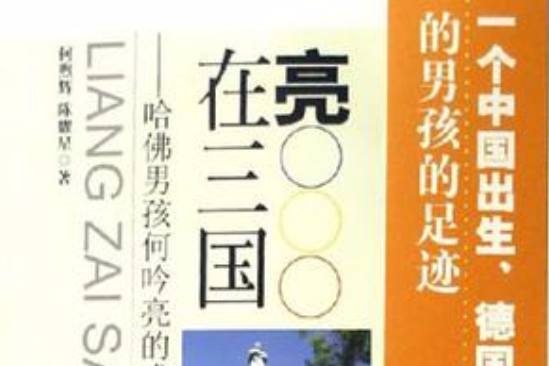 亮在三國 亮在三國