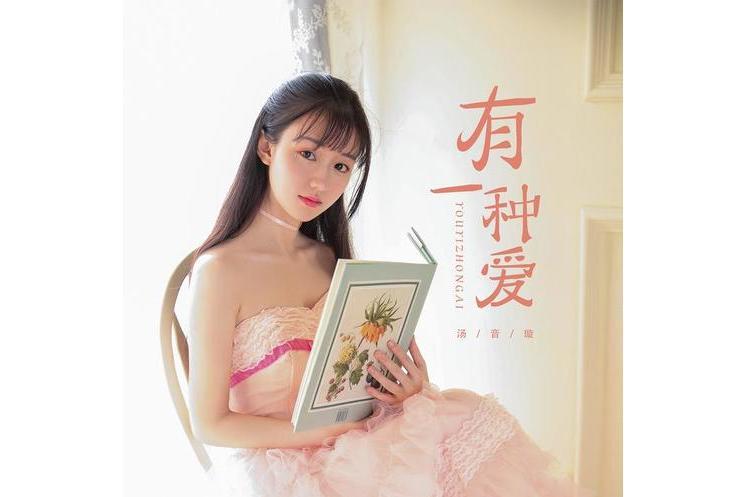 有一種愛(湯音璇演唱歌曲) 有一種愛(湯音璇演唱歌曲)