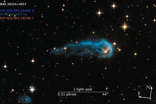 宇宙毛毛蟲 宇宙毛毛蟲
