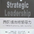 跨區域戰略領導力