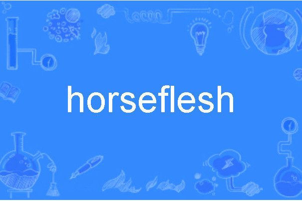 horseflesh
