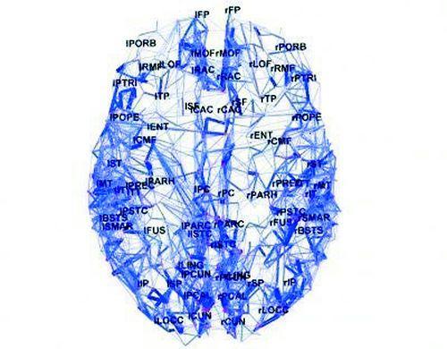 大腦網路地圖
