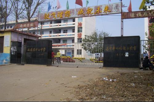 桃區中學 桃區中學