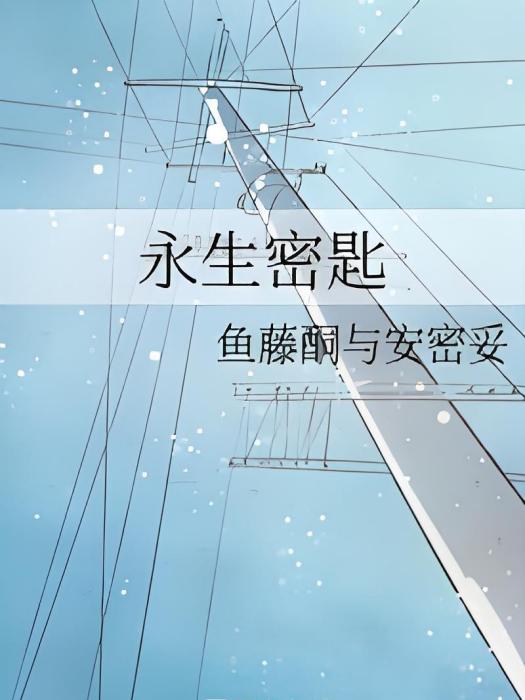 永生密匙 永生密匙