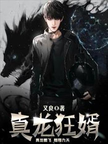 真龍狂婿(又良所著小說) 真龍狂婿(又良所著小說)