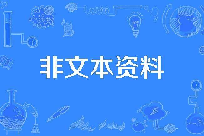 非文本資料 非文本資料