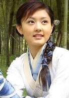 大旗英雄傳(2007年袁英明執導電視劇)