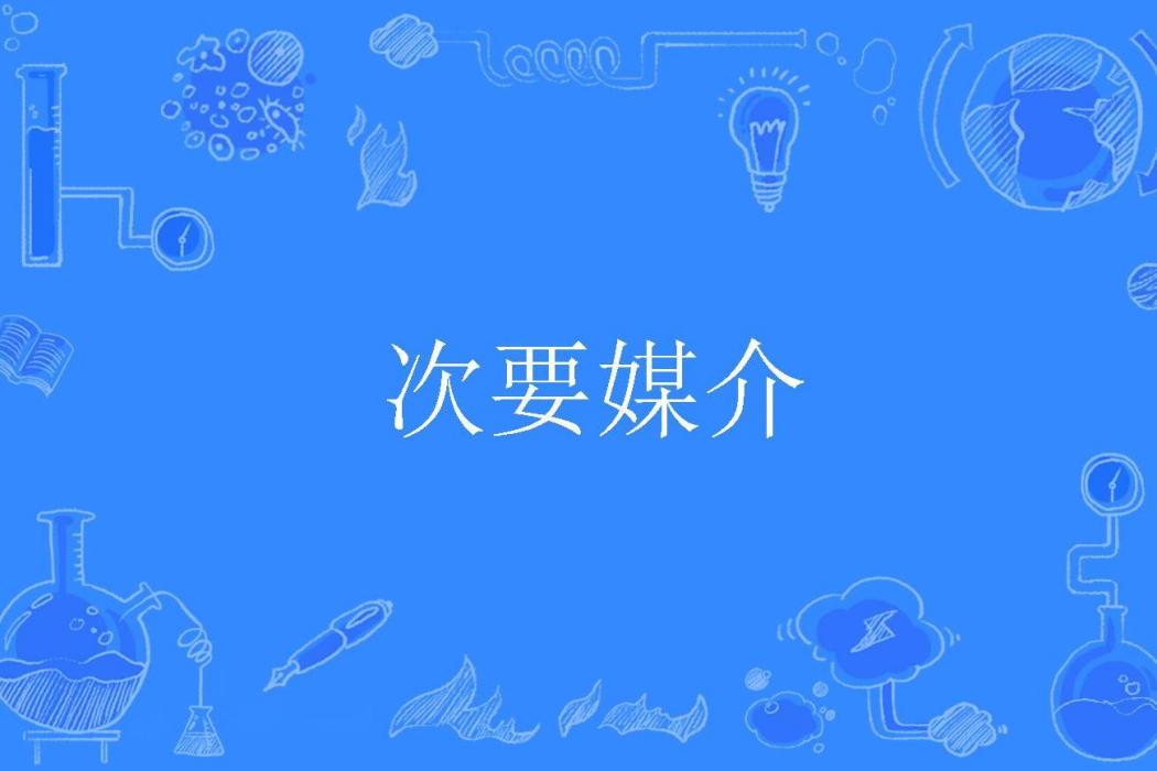 次要媒介 次要媒介
