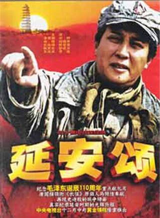 許毛毛 許毛毛