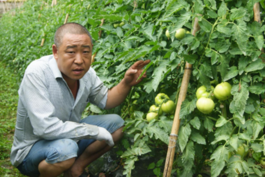王道銀(巫溪縣祥勝食用菌股份專業合作社負責人) 王道銀(巫溪縣祥勝食用菌股份專業合作社負責人)