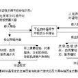 體溫恆定