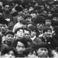 新貧困人群 新貧困人群