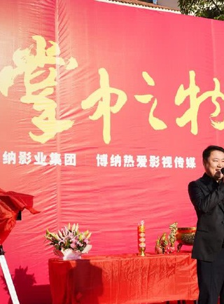 蔡文靜(中國內地女演員)