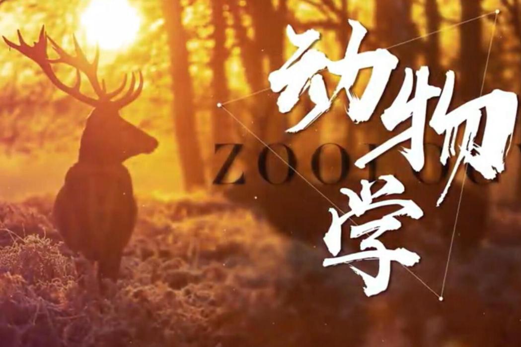 動物學(華中農業大學建設的慕課)