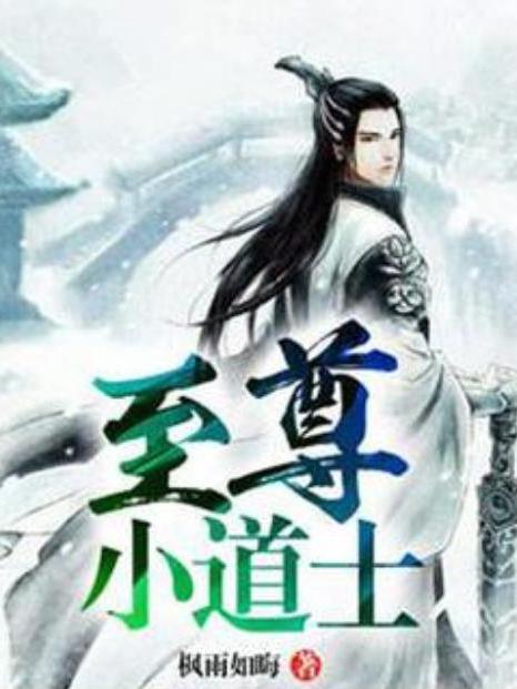 至尊小道士(楓雨如晦所著小說)
