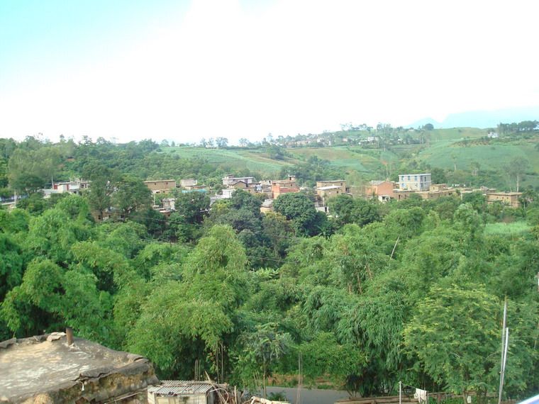 豹子母村 豹子母村
