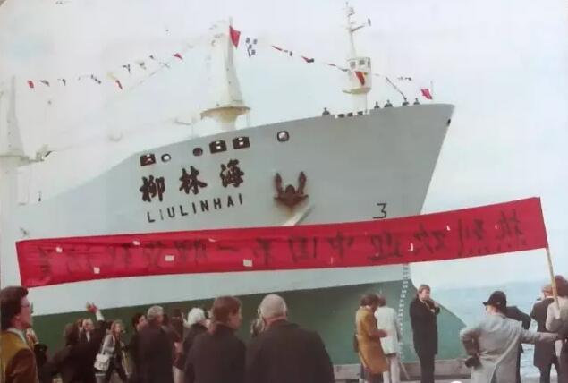 柳林海 柳林海