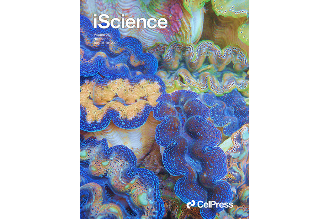 iScience iScience