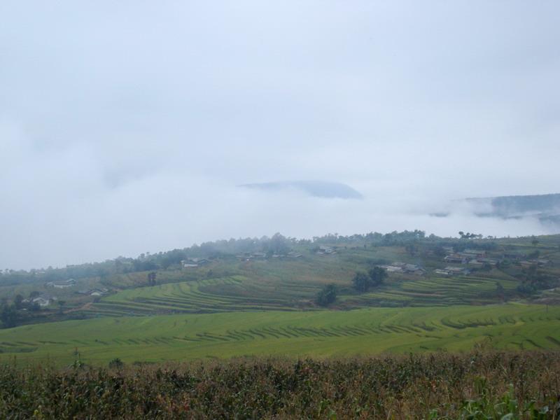 碗廠坪村 碗廠坪村