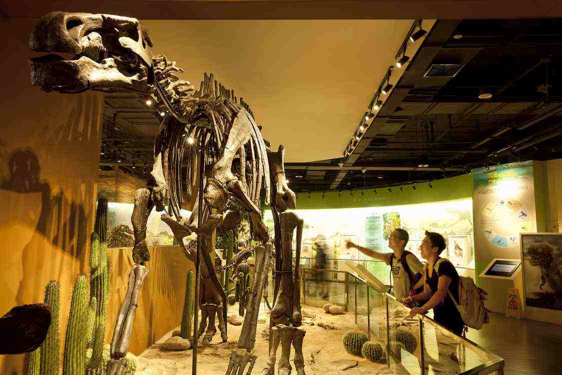 大連星海古生物化石博物館