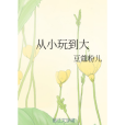 從小玩到大 從小玩到大