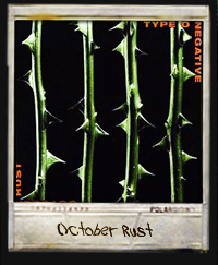 October Rust (1996)