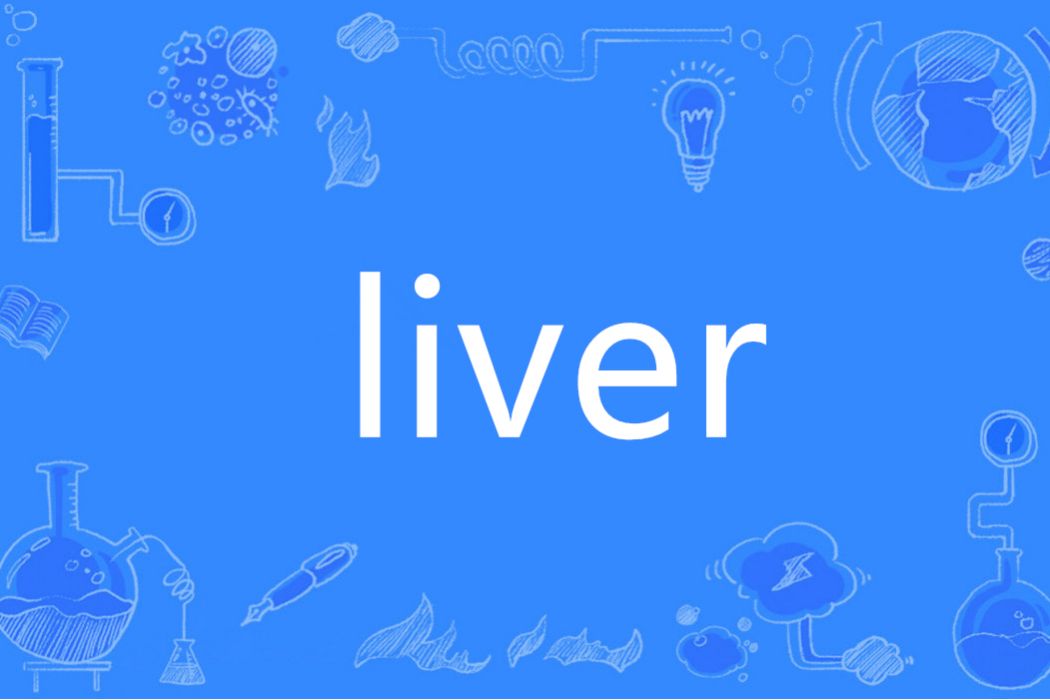 Liver(英語單詞) Liver(英語單詞)