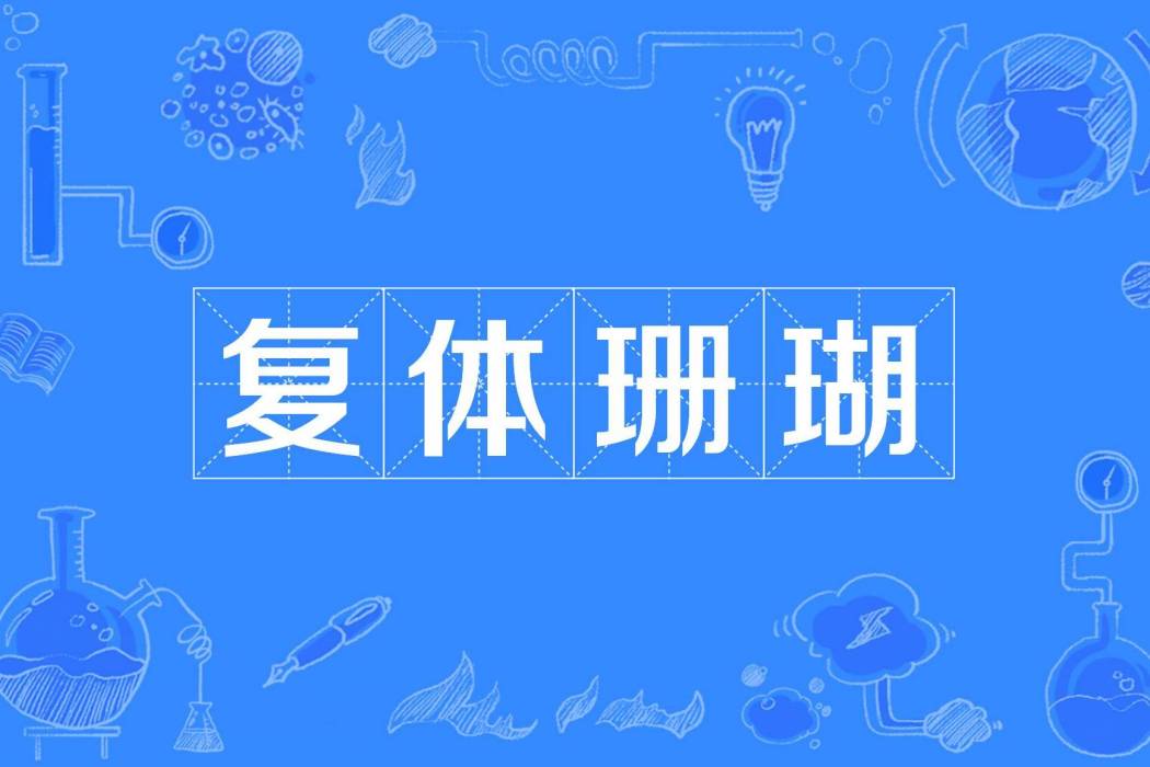 復體珊瑚 復體珊瑚