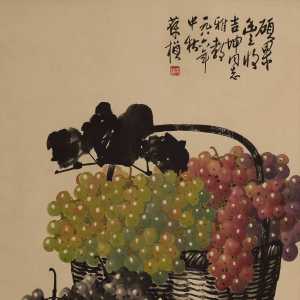 葡萄(Vitis vinifera)