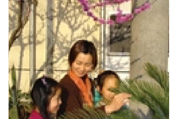 支桂芬 支桂芬
