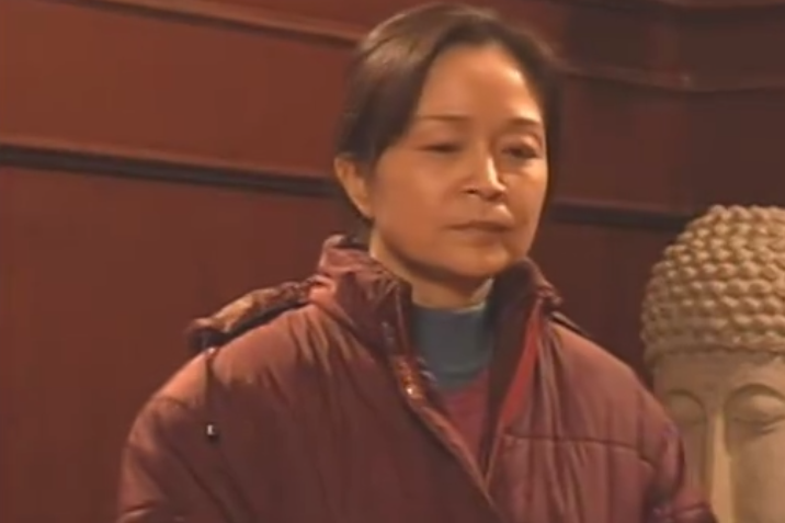 趙彩霞(家庭倫理劇《中國家庭》中的角色) 趙彩霞(家庭倫理劇《中國家庭》中的角色)