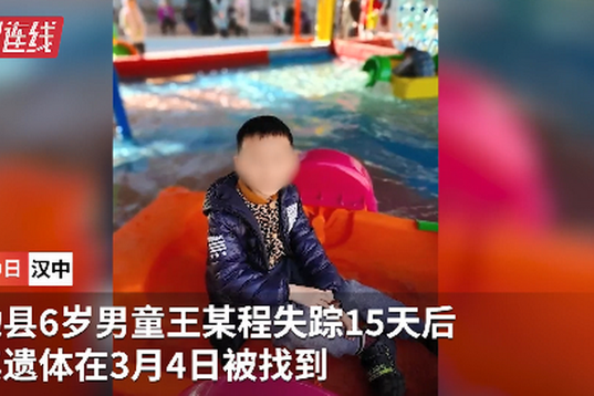 王藝程(2·17勉縣男童失蹤事件死者) 王藝程(2·17勉縣男童失蹤事件死者)