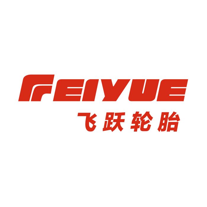 飛躍輪胎 飛躍輪胎