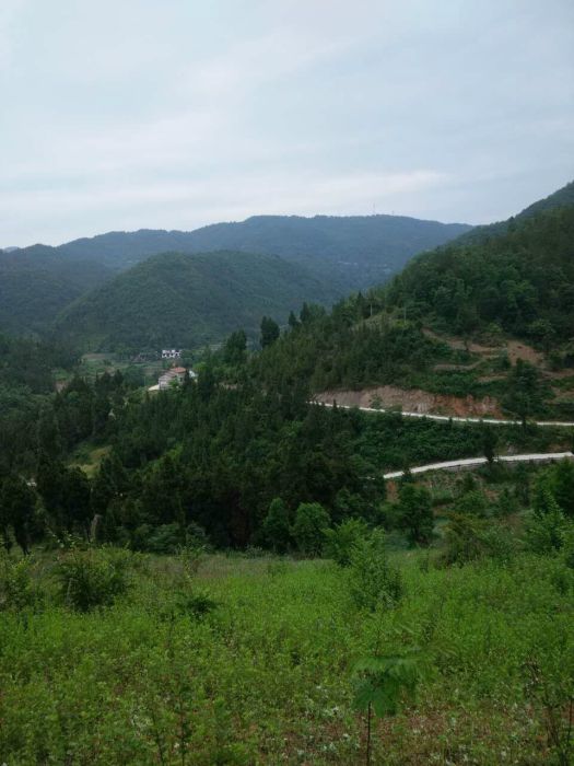 黑水池村 黑水池村