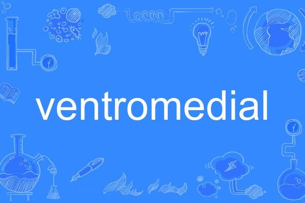 ventromedial ventromedial