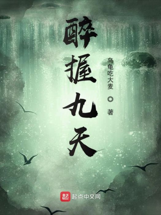 醉握九天 醉握九天