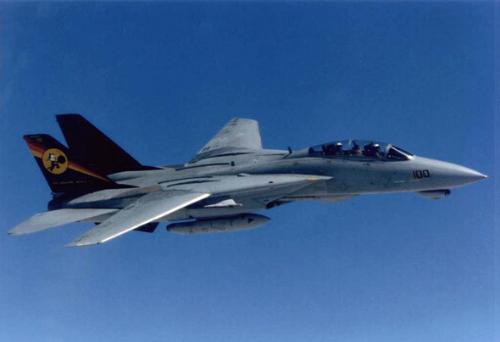 F-14“雄貓”戰鬥機的雙垂尾