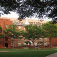 法學大學 法學大學