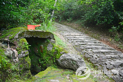 鳳嶺古道 鳳嶺古道