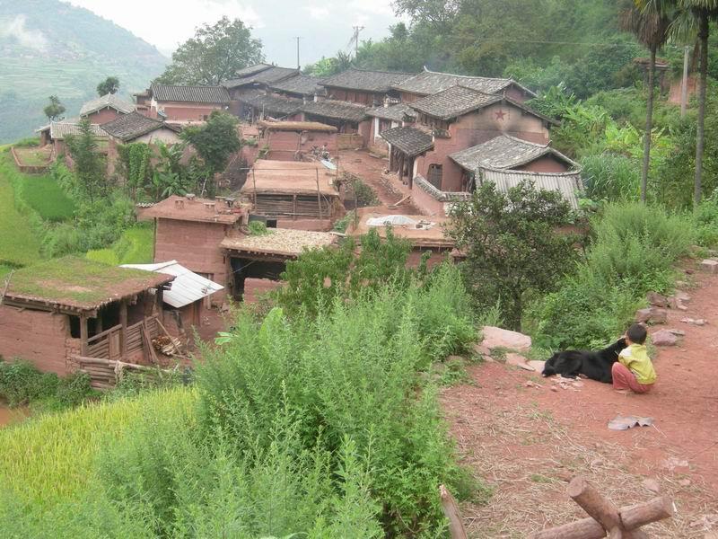 小母雞苴村 小母雞苴村