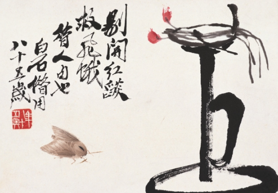 油燈飛蛾 油燈飛蛾