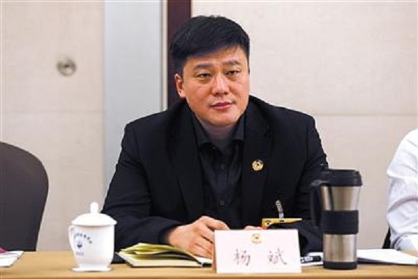 楊斌(北京青少年網路文化發展中心主任)