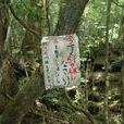 青木原樹海(自然地理)