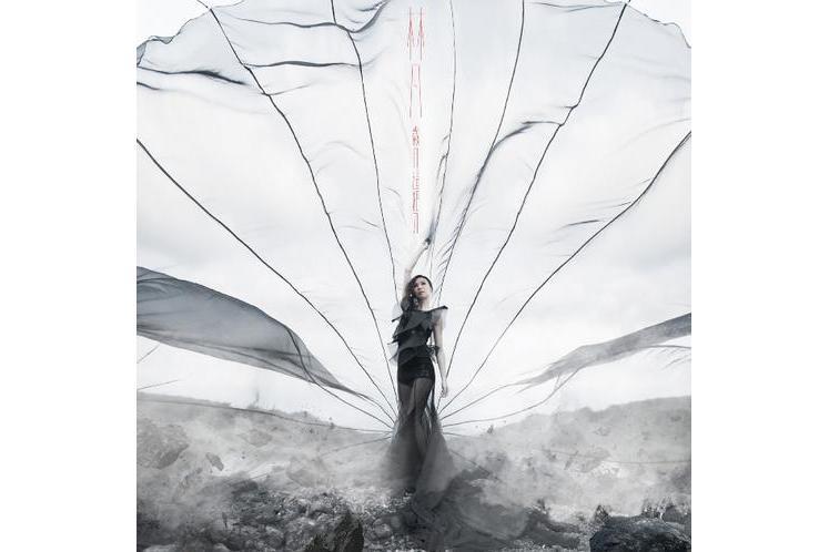 目送(林凡《歲月這把刀》專輯中的歌曲) 目送(林凡《歲月這把刀》專輯中的歌曲)