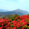鶴頂山 鶴頂山